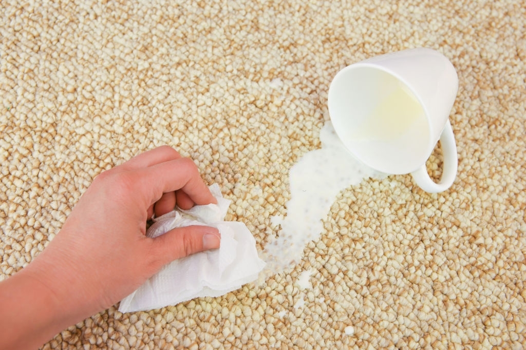 Carpet Stain Removal Image