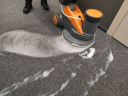 Steam Carpet Cleaning Image