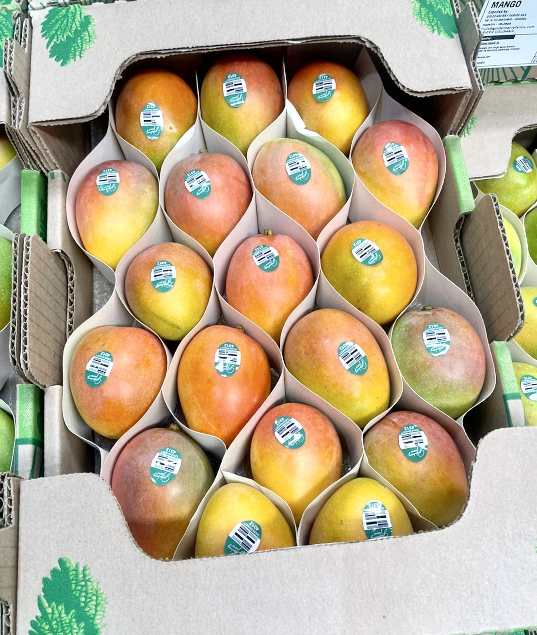Sugar Mangos ™ are grown and exported exclusively by Goldenberry Farms and its authorized licensees Image