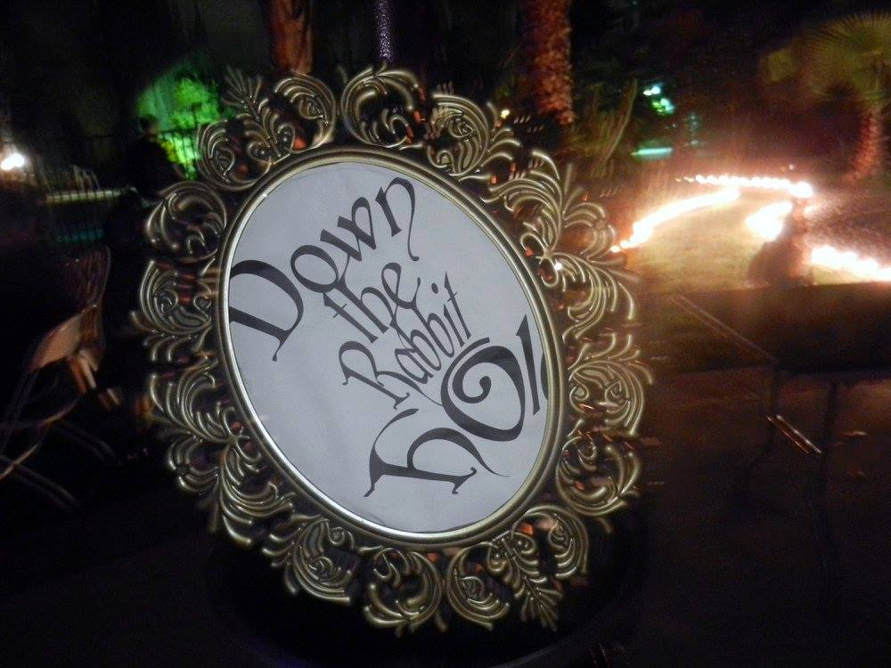 Rabbit Hole Theme Image