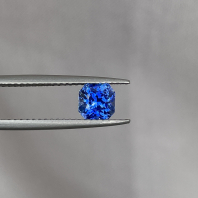 Nash Universal Ventures (PVT) LTD