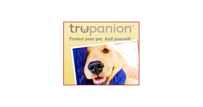Pet Protection Brand Tavo Announces Partnership With Los Angeles