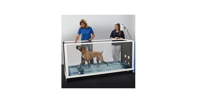 HydroWorx K900  Canine Hydrotherapy Treadmill For Vets