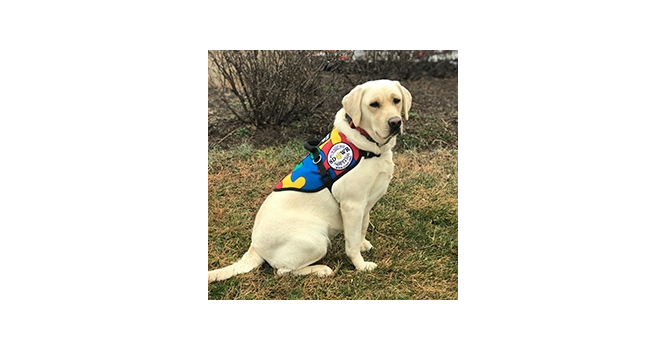 Autism Focused Service Dog To Join Military Family At Sunday's