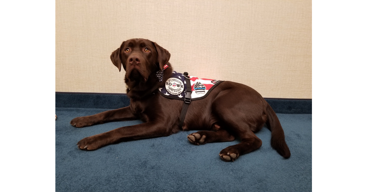 SDWR Sponsoring Diabetic Alert Dog Grant