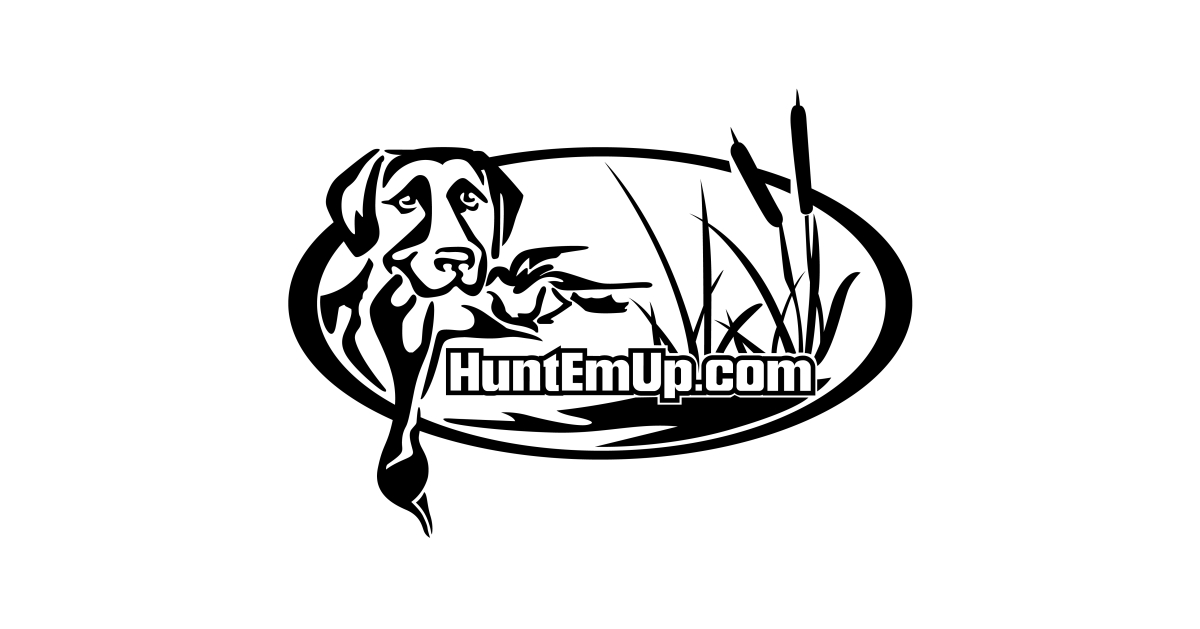 Online Sporting Dog Supply Retailer Launches New Product Offering