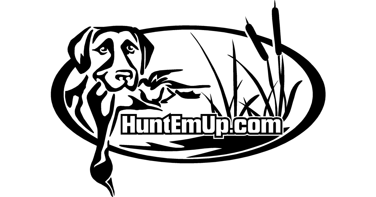 Online Sporting Dog Supply Retailer Launches New Product Offering