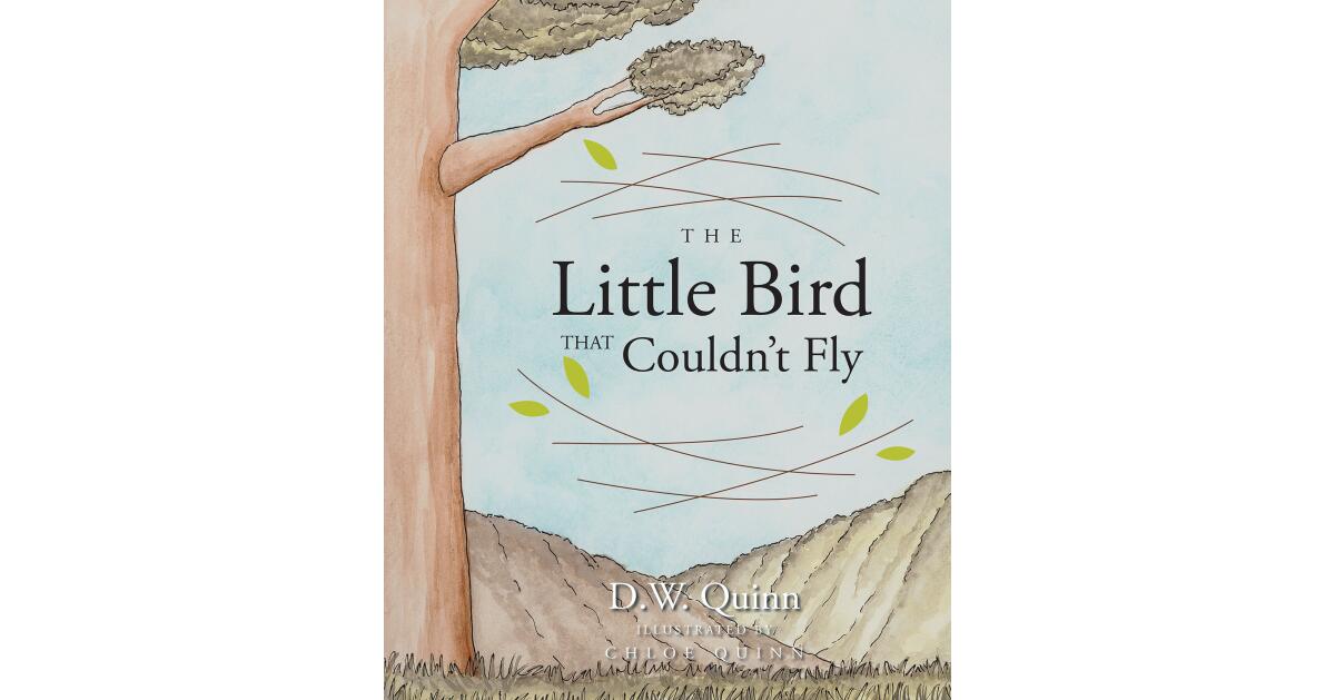 D.W. Quinn's Newly Released "The Little Bird That Couldn't Fly" is a Sweet Story of a Little Bird Who Learns a Big Lesson of Faith in God and Confidence in Oneself - Vimarsana News