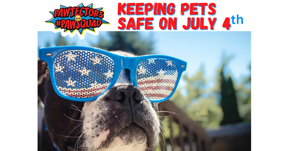 How to Prevent Pets Going Missing on July 4 - Vimarsana News