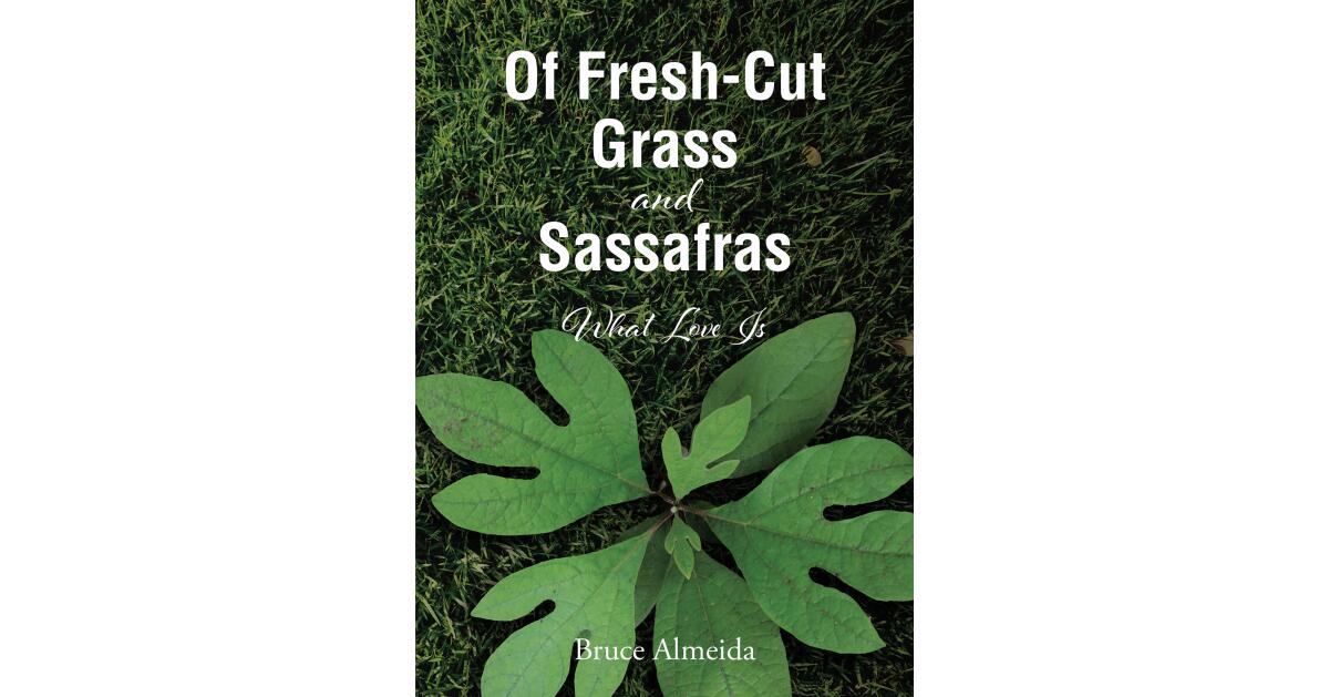 Bruce Almeida's Newly Released "Of Fresh-Cut Grass and Sassafras: What Love Is" is a Thought-Provoking Into the Essence of Love - Vimarsana News