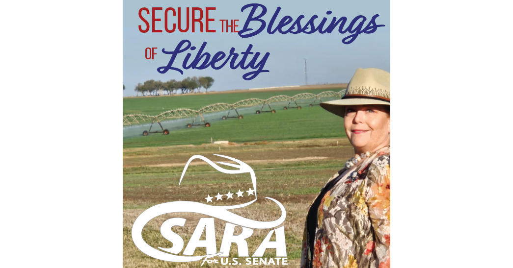 Retired Texas Judge Sara Canady Launches U.S. Senate Bid “Time to Bring ...