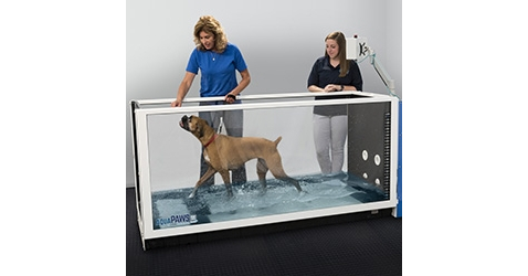 Aquapaws treadmill 2024