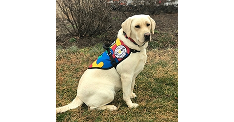 Autism Focused Service Dog To Join Military Family At Sunday's