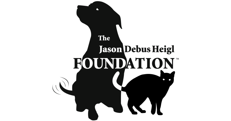 The Heigl Foundation's Dog Adoption Fair in Long Beach is Coming Up. Help Clear the Animal Shelters. - Vimarsana News