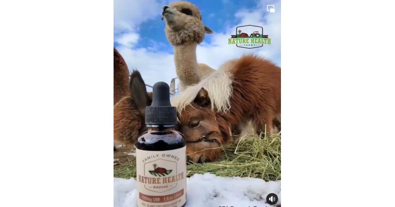 Nature Health Farms, Petting Zoo & Hemp Farm in Picturesque Pahrump, Now Available for Sale - Vimarsana News