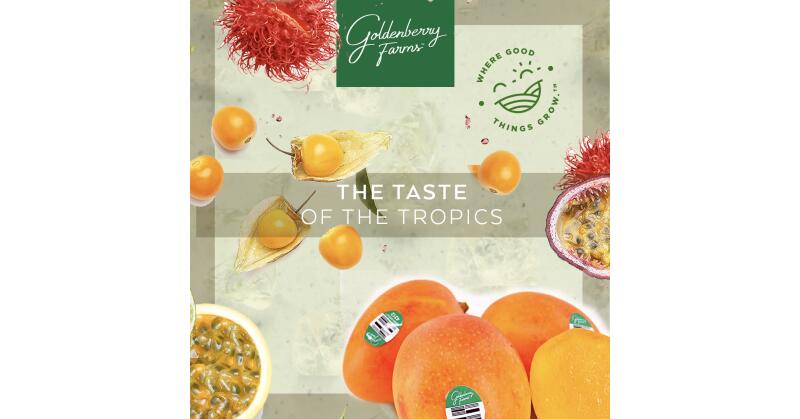 Goldenberry Farms® Celebrates Status as Diversity-Owned and Managed Vendor, Adds New Items - Vimarsana News