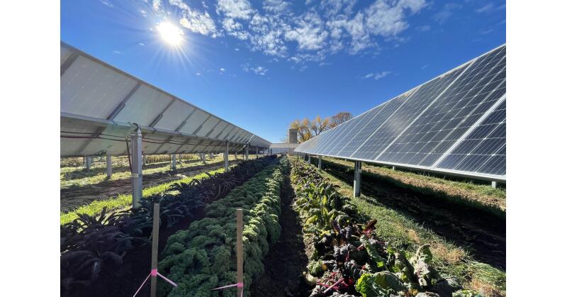 Transect Unveils Exclusive Beta of AI Solar Sentiment Feature for Solar Industry Clients - Vimarsana News