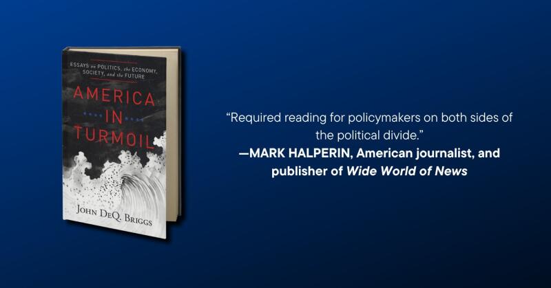 America in Turmoil: Essays on Politics, the Economy, Society, and the Future - Vimarsana News