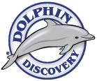 Dolphin Discovery