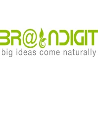 BRAINDIGIT IT Solution