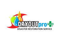 DRYOUTpro PLUS