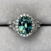 Nash Universal Ventures (PVT) LTD