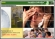 eLearning Design & Development