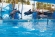 Swim with dolphins and sea lions in Puerto Vallarta