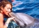 Swim with dolphins at Six Flags Mexico City