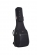 Musical instrumt Bag or case