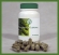 Moringa capsules