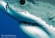 extreme tourism, scuba tours, film productions