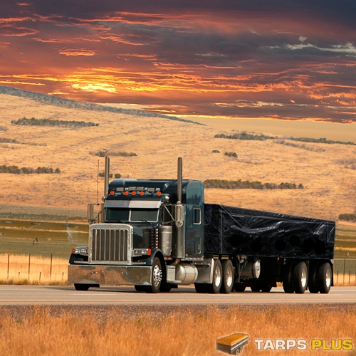 Tarps from Tarps Plus