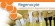 Adult Stem Cell Therapy