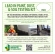 Lead in Paint, Dust, or Soil Test Kit