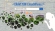 Craveyon Peche Demi-Sec