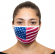 Adult Face Mask American Flag