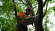Tree Care