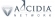 Article Marketing