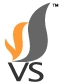 Vertical Streaming Inc Logo
