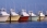 Oil Disaster Claims Assistance Network