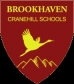 Brookhaven Academy Logo