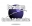 Paradigm System Solutions Inc