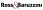 Ross & Baruzzini, Inc.
