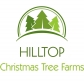 Hilltop Christmas Tree Farms Logo