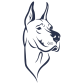TopDawg Logo
