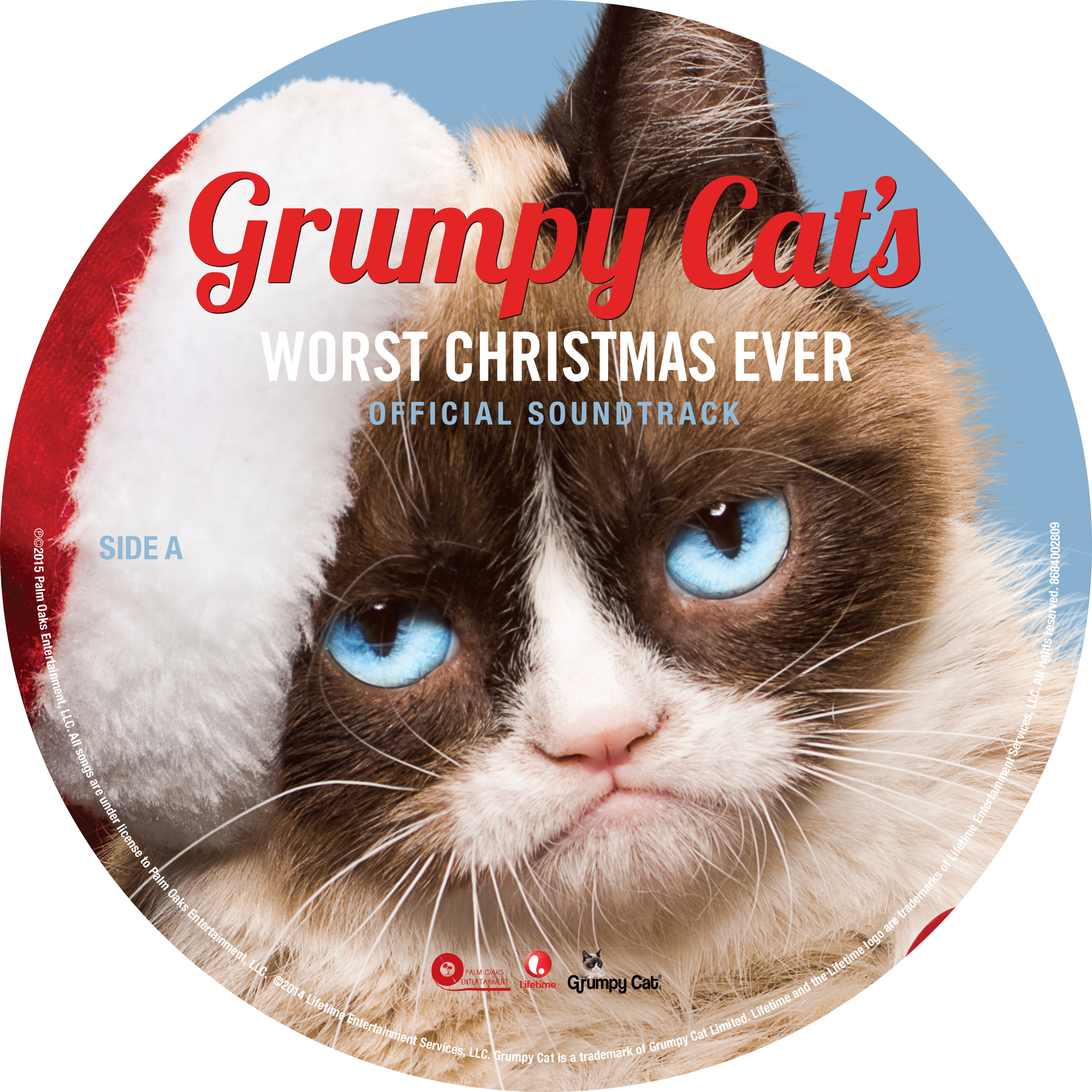 Grumpy Cat's Debut Picture-Vinyl Release Launches with PledgeMusic - PR.com