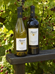 Raymond Vineyards Celebrates 35th Harvest