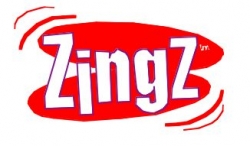 Zingz-This is the Unbelievable Story of How Two Savvy Entrepreneurs Competed with the Toy Industry Goliaths and Succeeded in Creating Their Own Thriving Toy Business