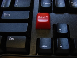 Novelty Panic Button Reduces Economic Stress